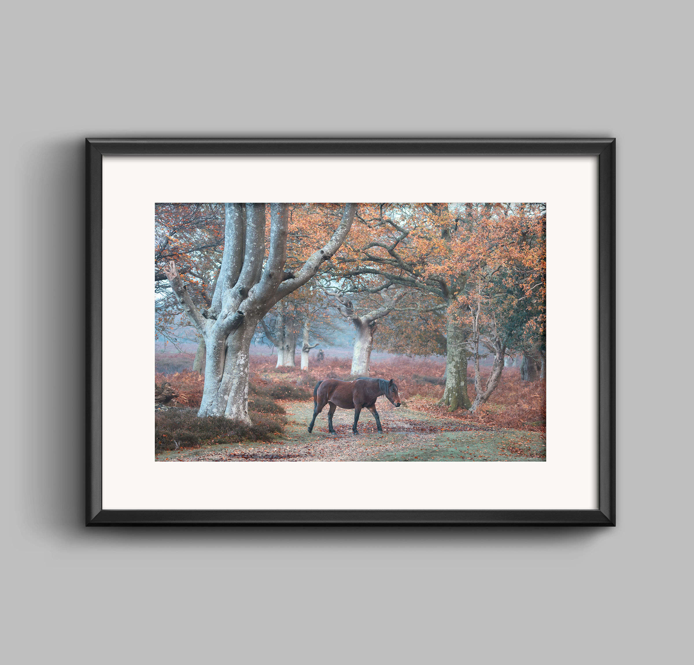 PRINT - The Crossing