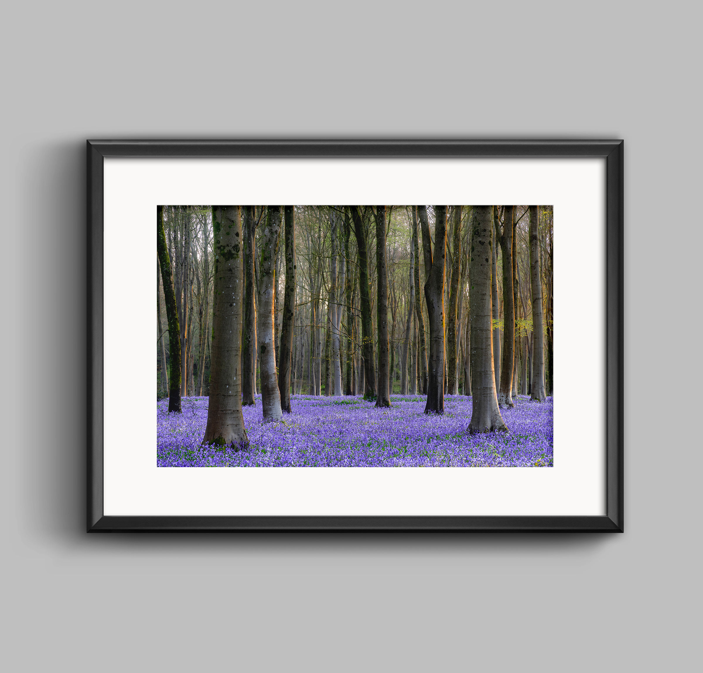 PRINT - Pre Dawn Blues