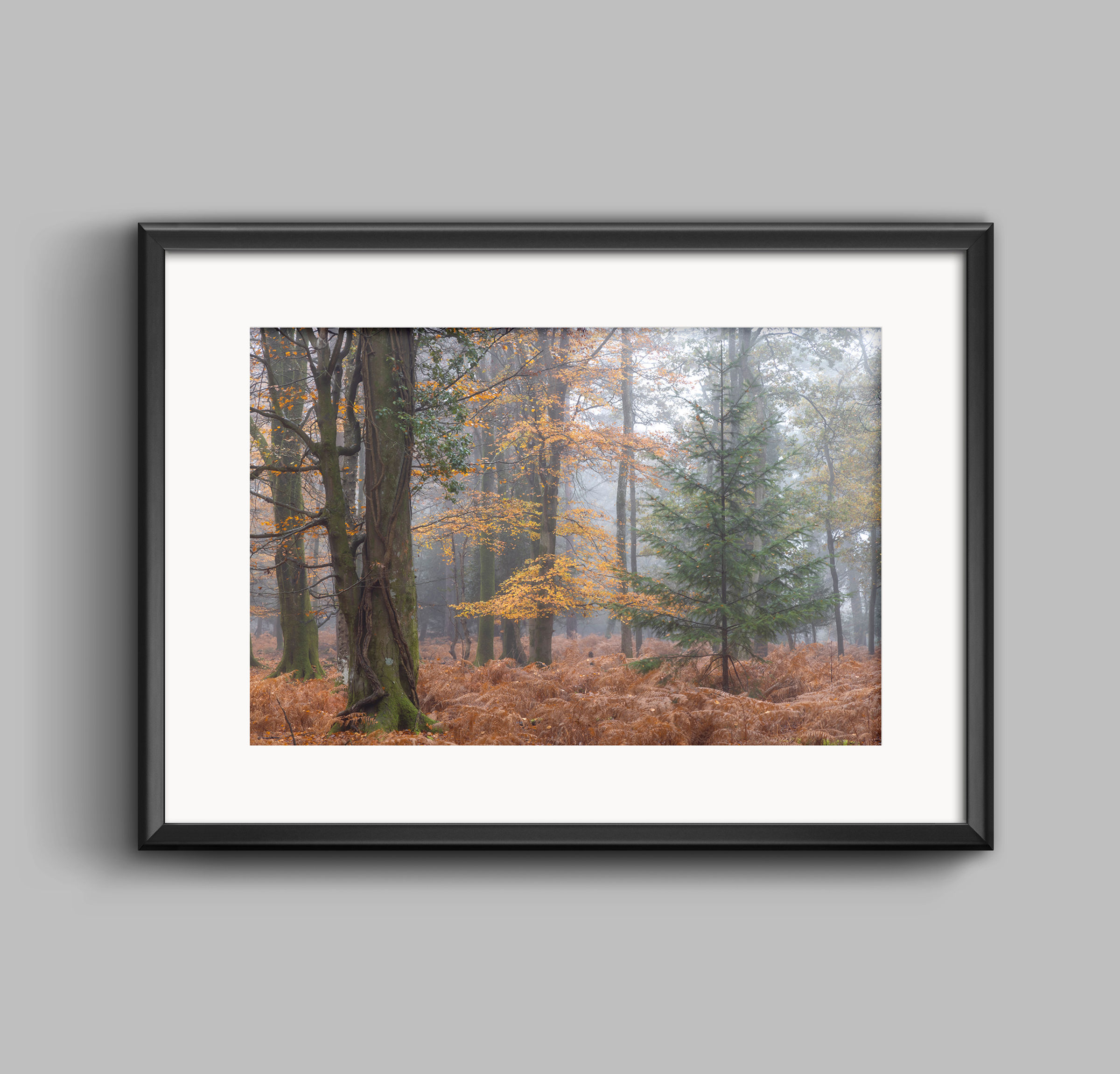 PRINT - Autumn Fog