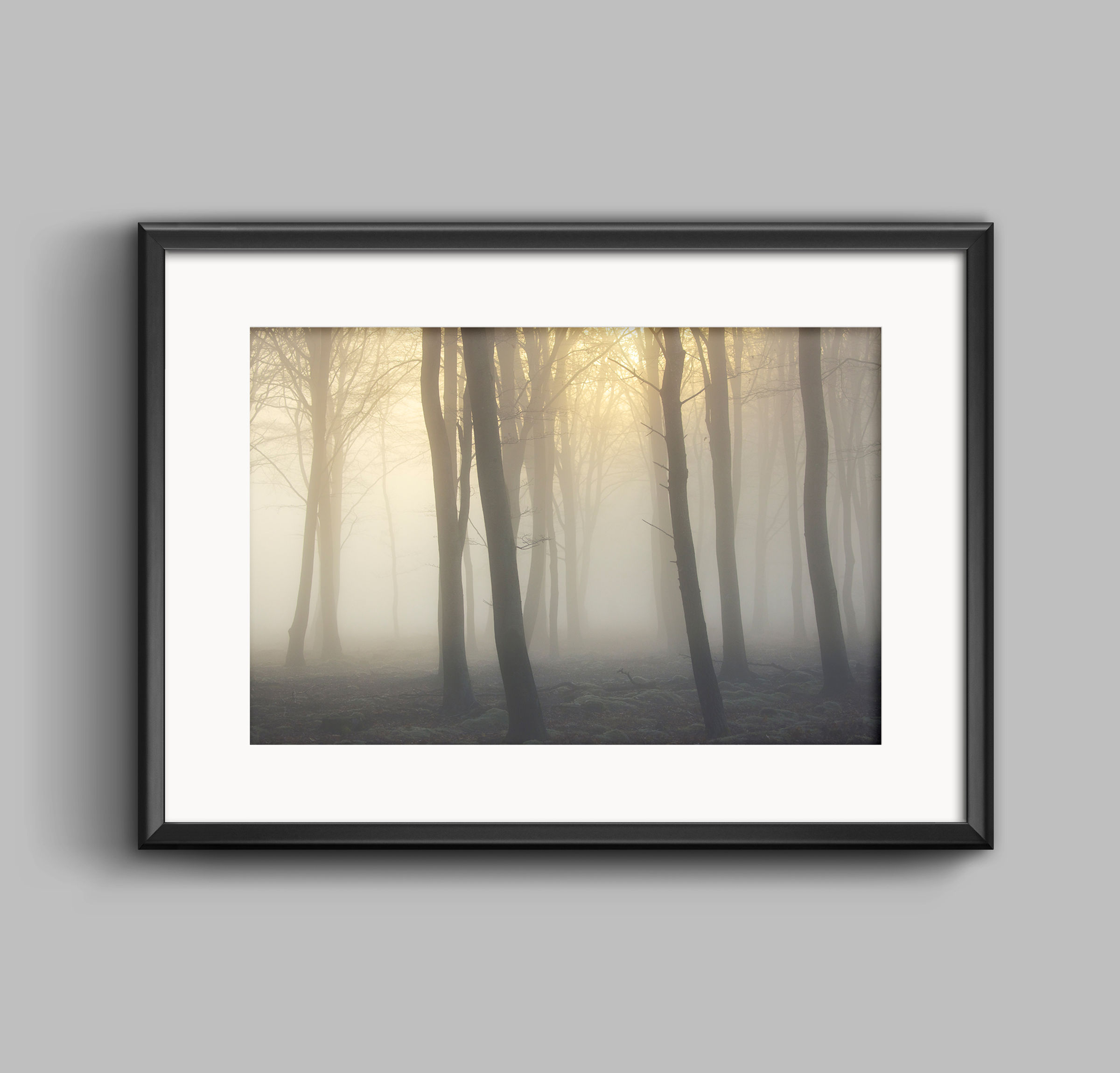 PRINT - Foggy Dawn