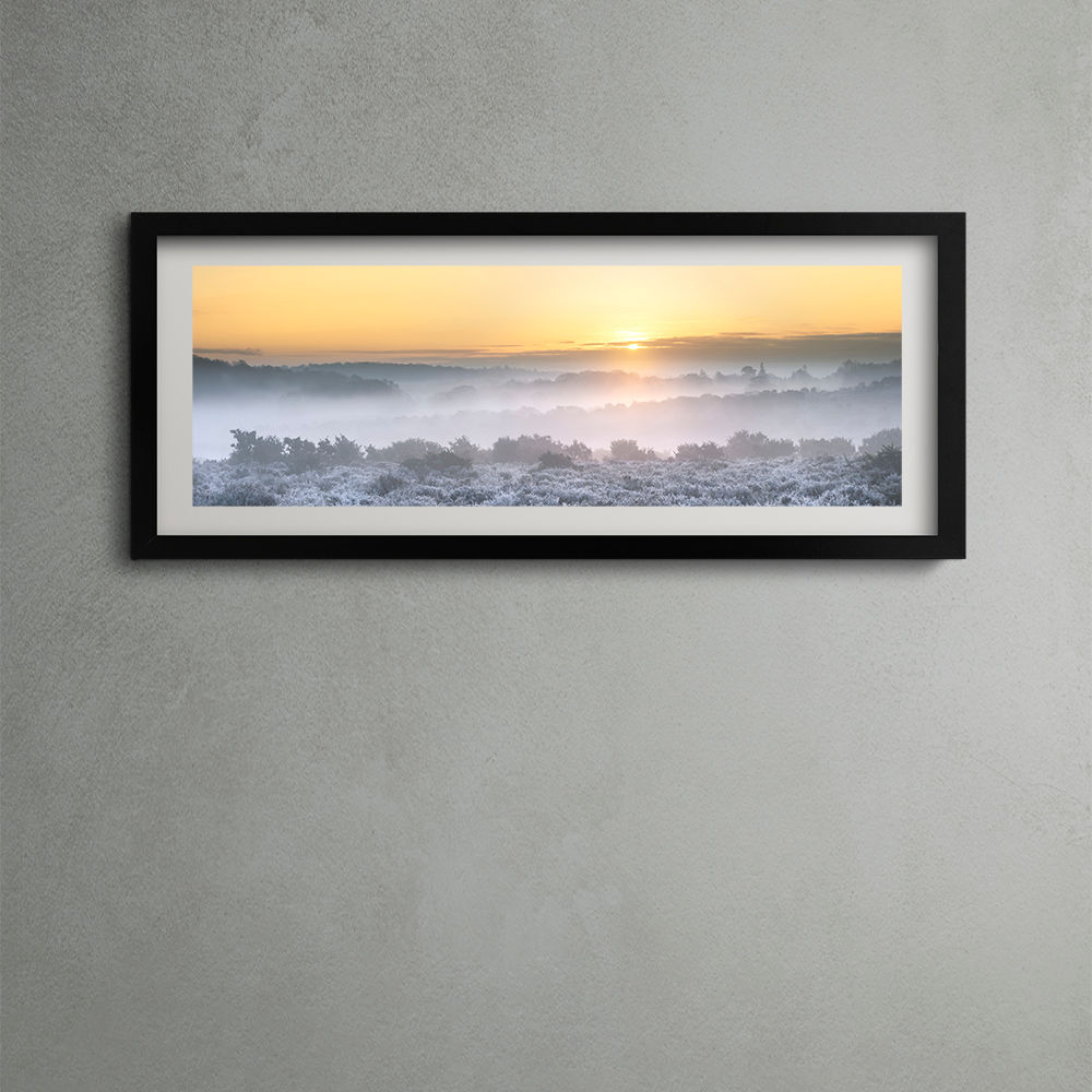 New Forest Misty Sunrise - PANORAMIC PRINT 3:1 Ratio