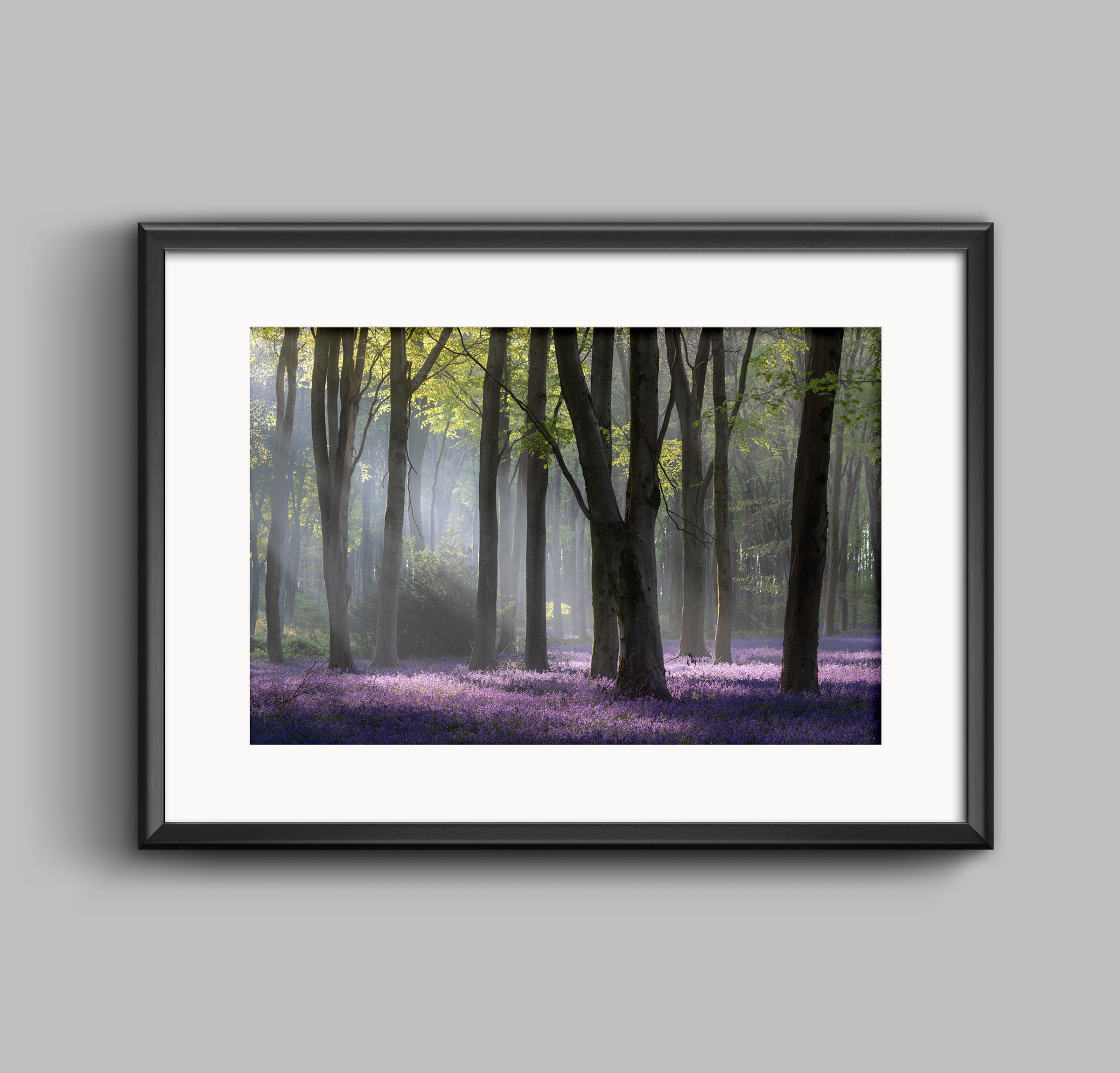 PRINT - Lost In Bluebell Heaven