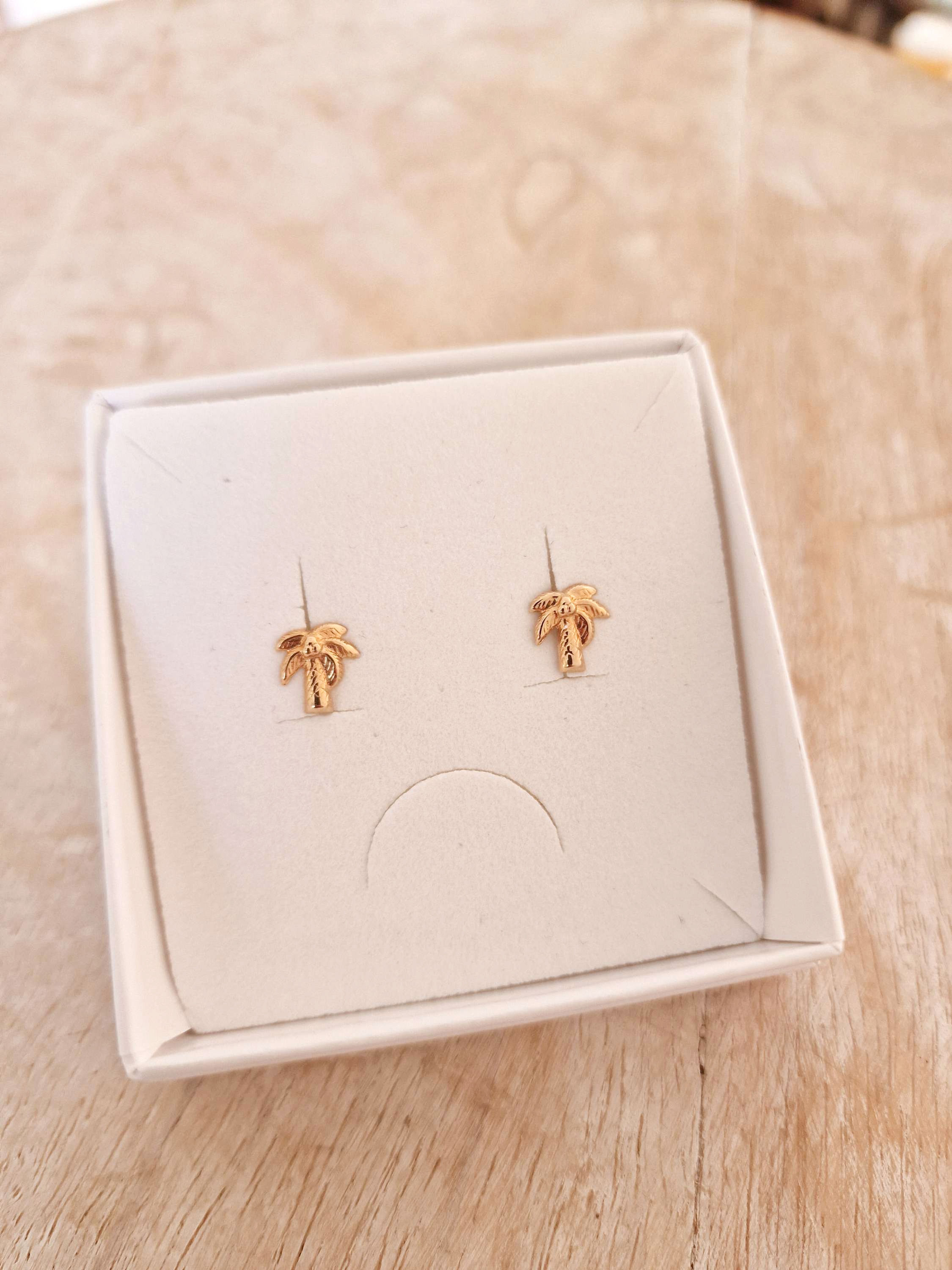 Clous d'oreilles Cocotiers