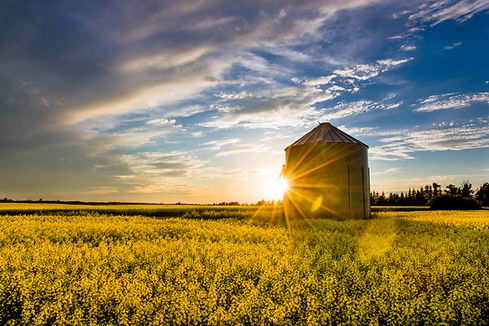 Canadian Landscape