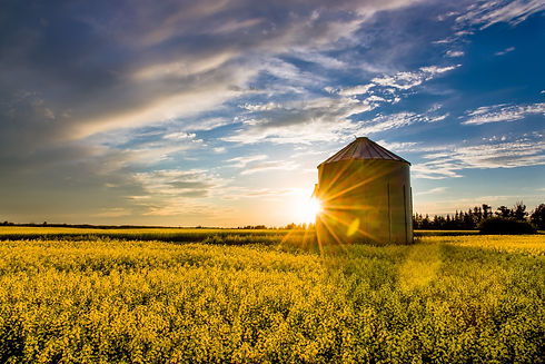 Canadian Landscape