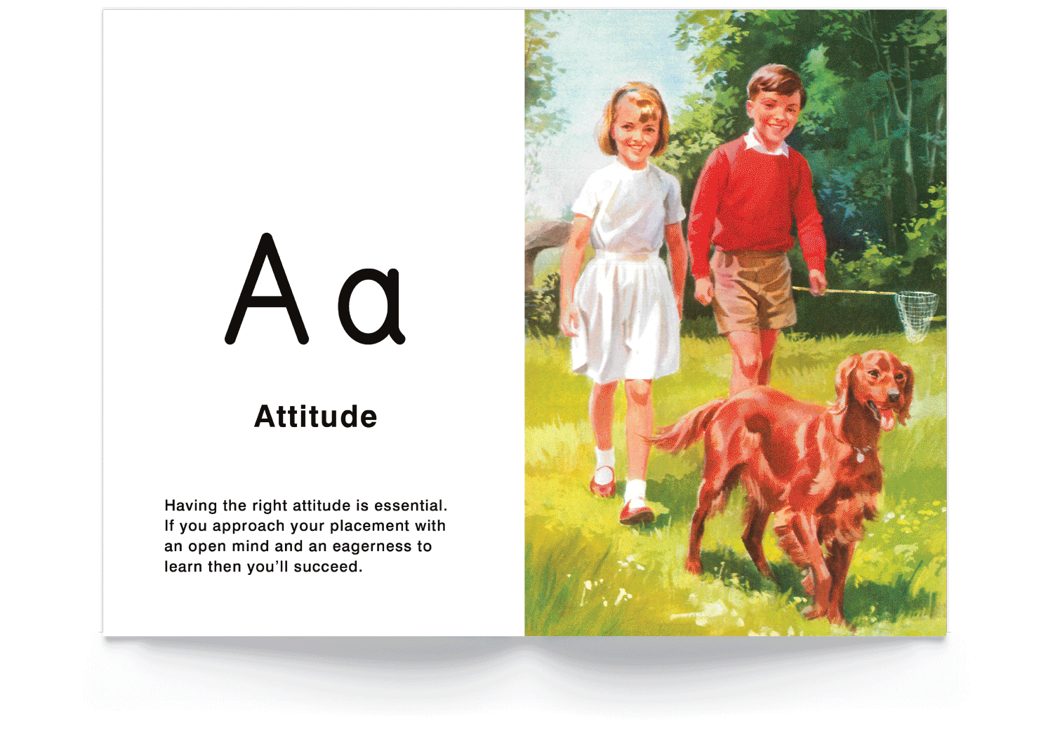 Ladybird-book.gif