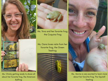 2026-2027: The Year of The Frog with Three Pines Project