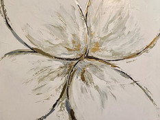 image4.jpeg