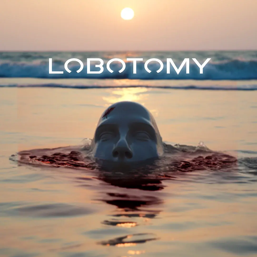 AnotherVGN - HOW TO PERFORM A LOBOTOMY Production Suite