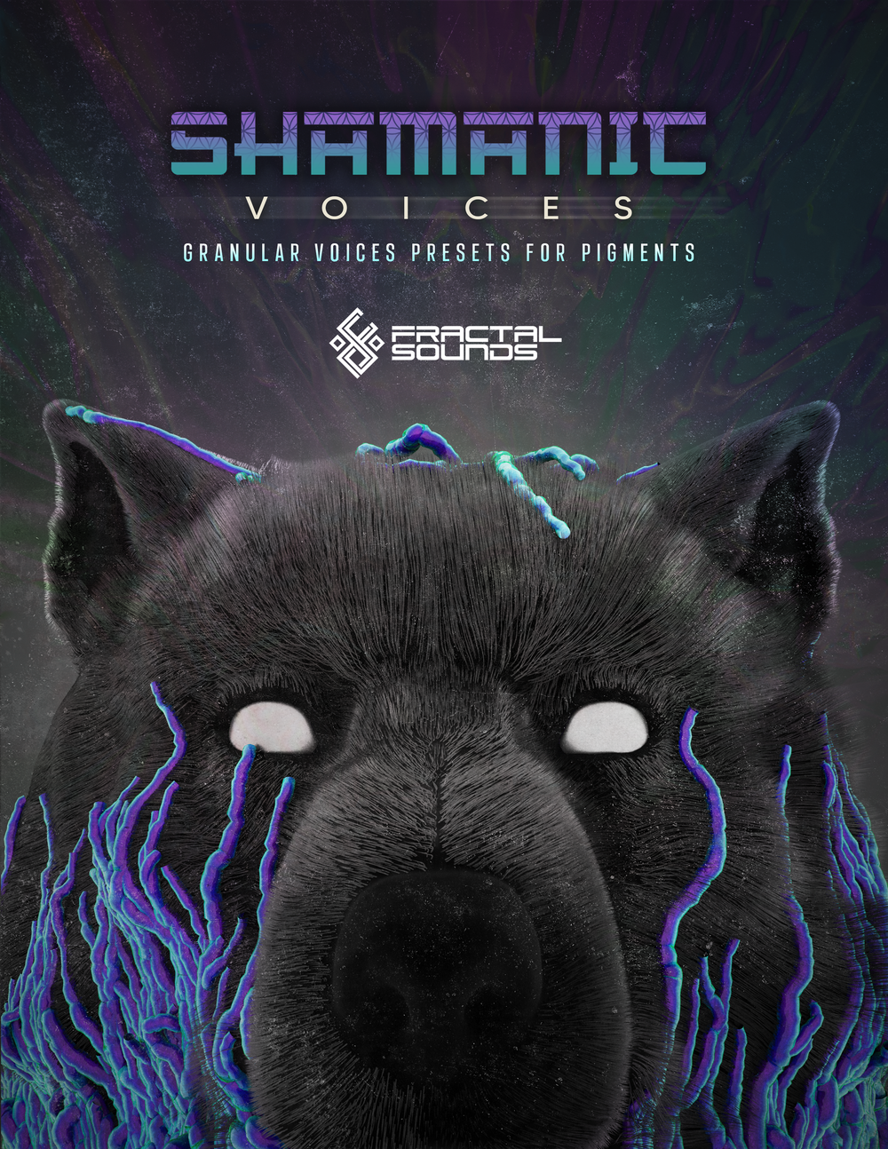Shamanic Voices by Joan Halifax