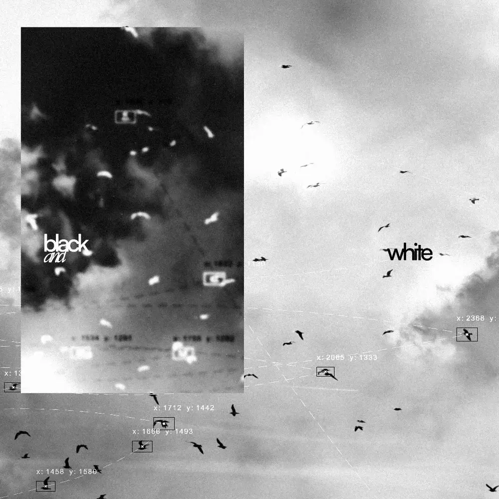 Eville - B&W (Deluxe Edition)
