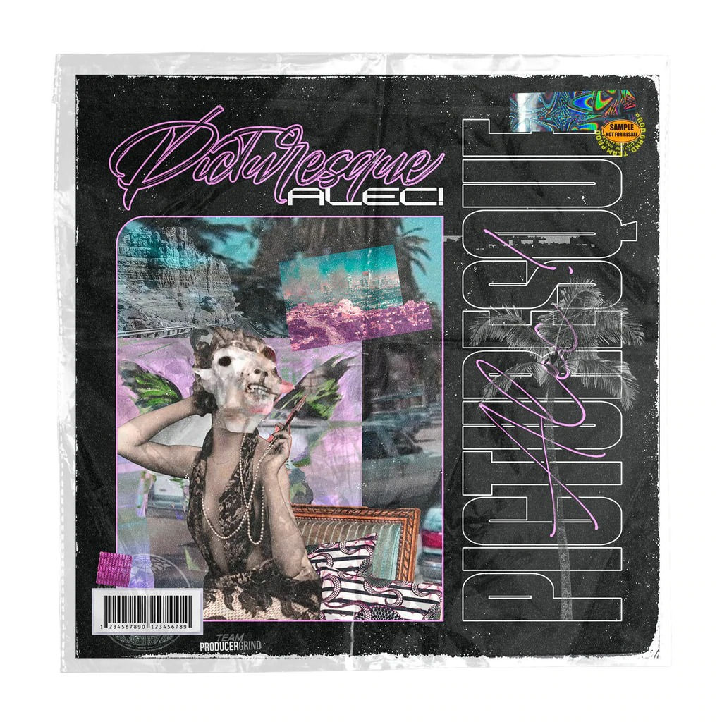 Picturesque (One Shot Kit)