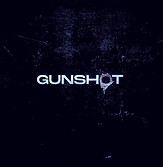 Peruzzi-Gunshot_edited_edited_edited_edi