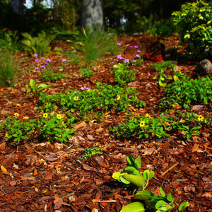 Beachside Complete Yard Remodel