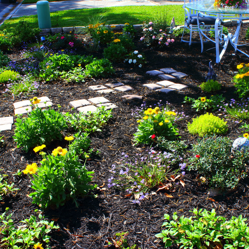 Native Plant Installations