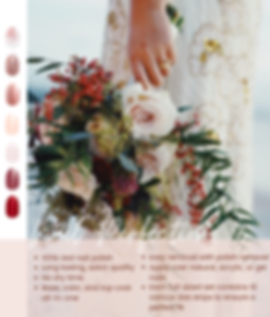 #12 brochure pic.png