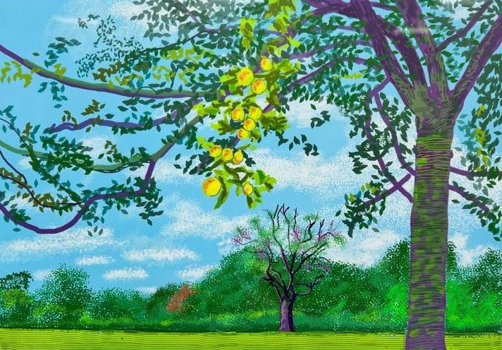 David Hockney 'From 220 for 2020'