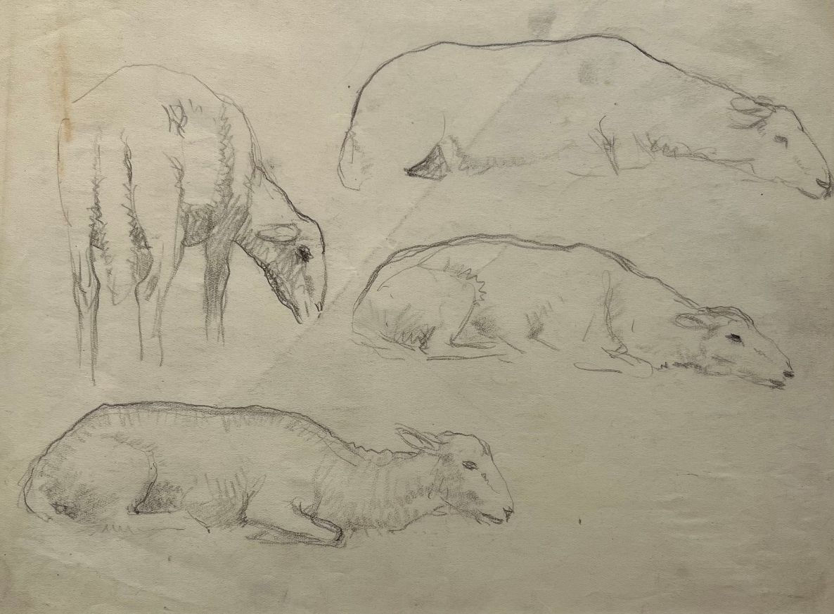 Adolphe Valette 'Study of 4 Sheep'