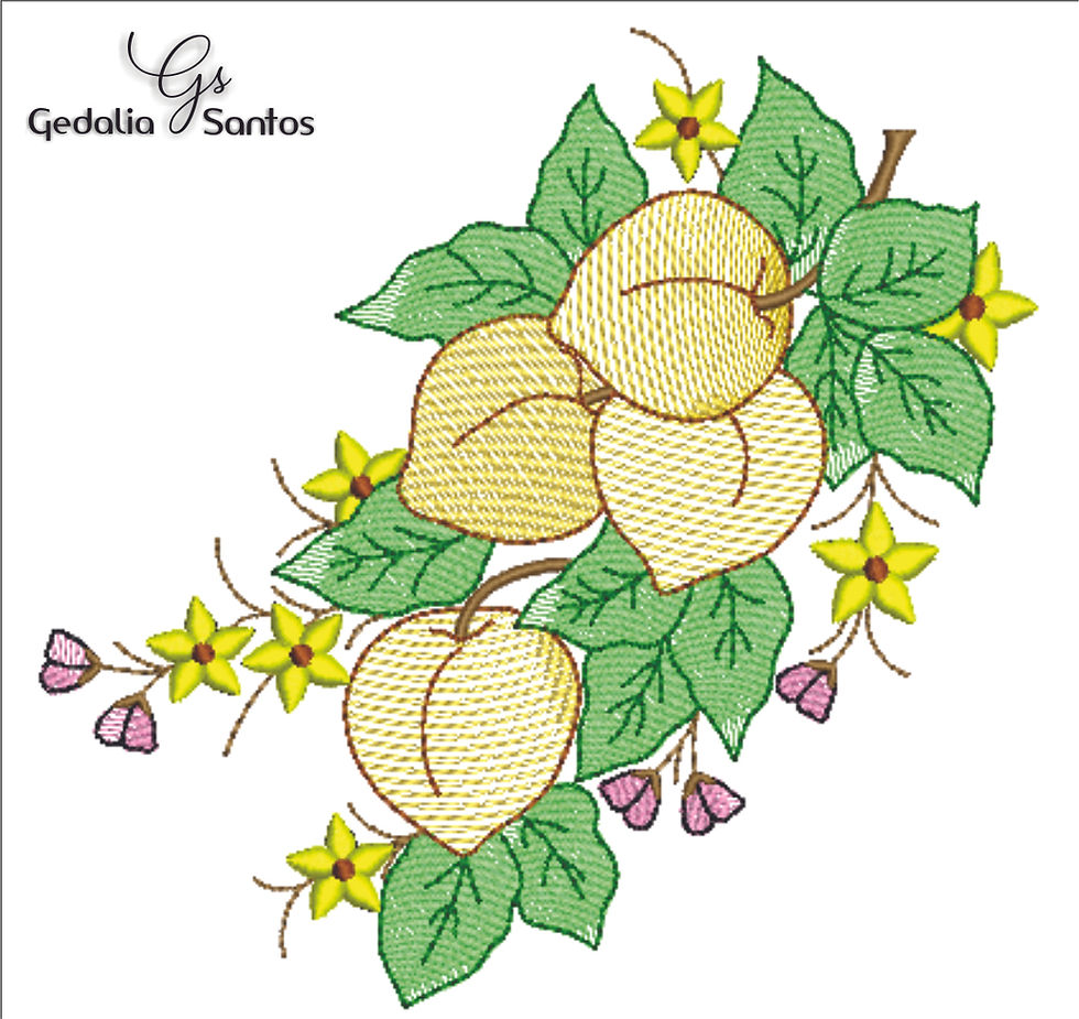 Miniatura: Frutas Top