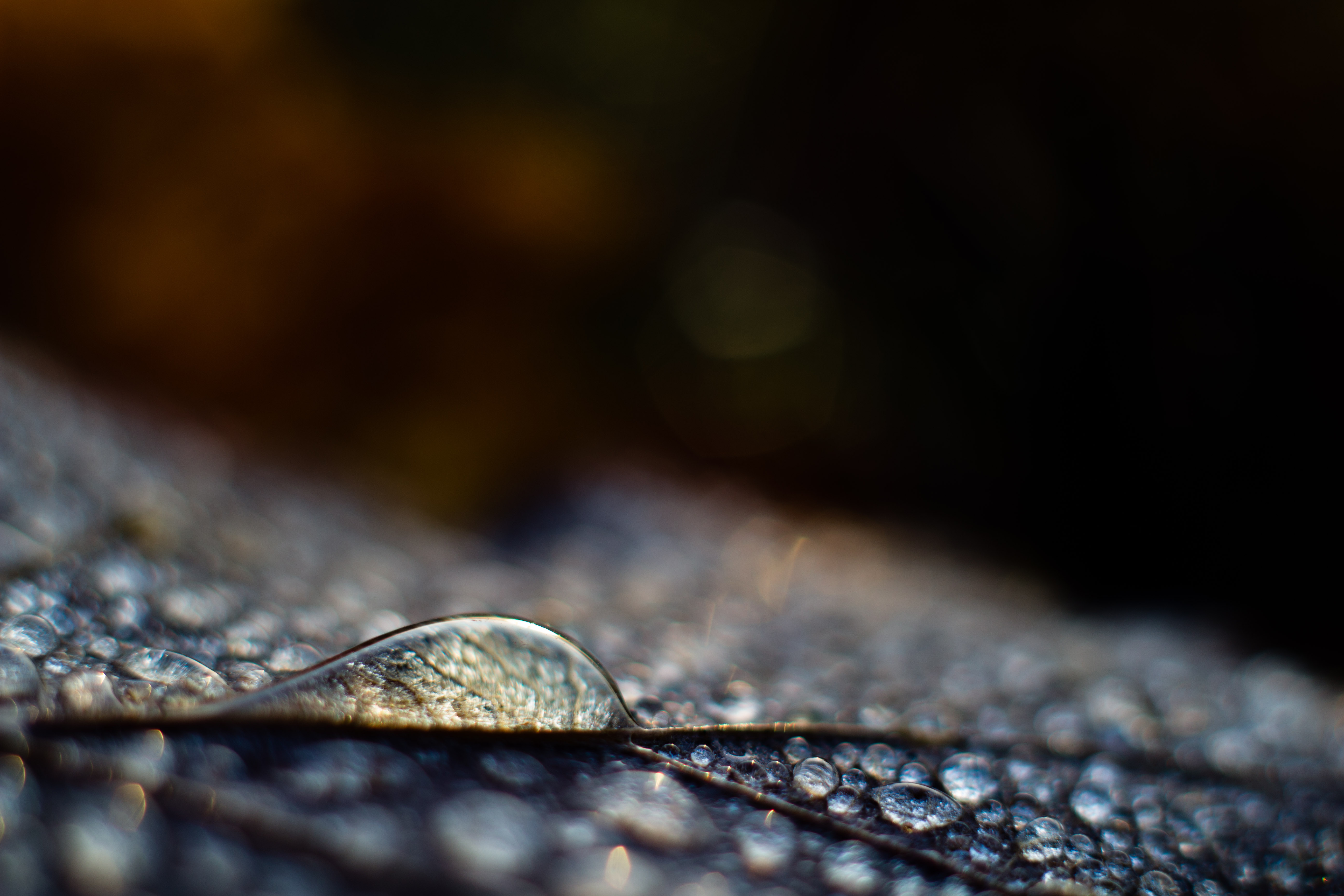 Inspirations nature
