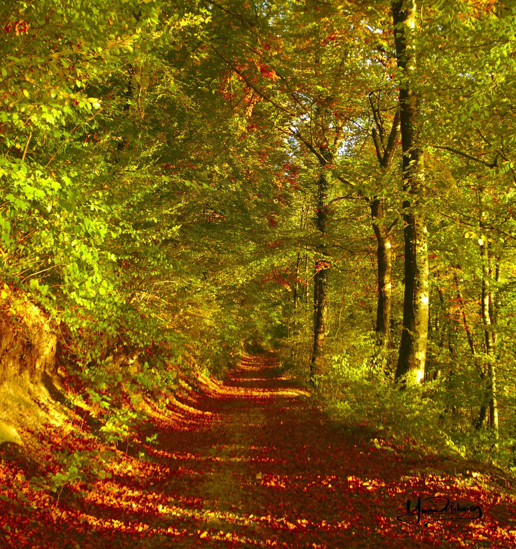 Nature et conscience