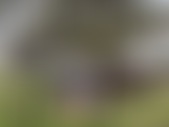 Breaking Ground at Fawkner: The Blue Wren Den Begins to Take Shape