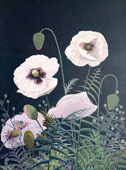 38- 70x50 cm