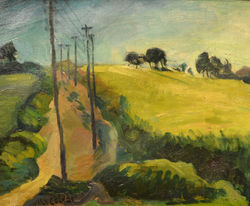 01- Ali Avni Çelebi