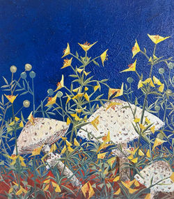 36- 30x30 cm