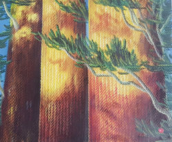 13- Ahmet Yeşil 60x70 cm