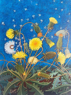 40- 50x35 cm