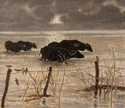 21- Nevzat Akoral 35x40 cm