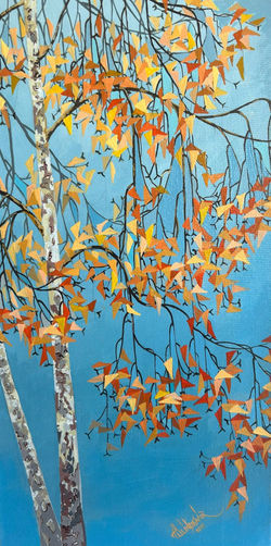 27- 40x20 cm