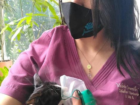 WhatsApp Image 2022-06-16 at 1.48.41 PM (1).jpeg