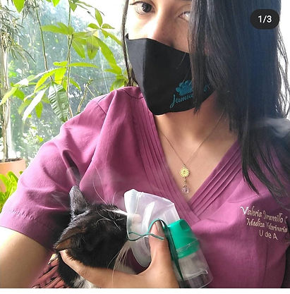 WhatsApp Image 2022-06-04 at 1.36.25 PM.jpeg