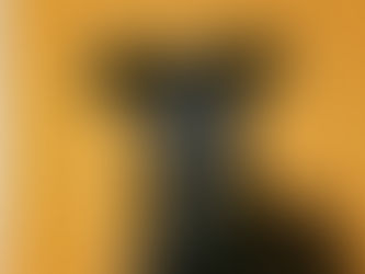 dog with yellow background