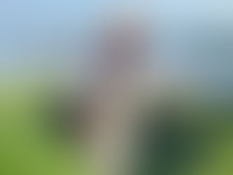 Discover Adventure at Kids Sailing Camp with Little Traverse Sailors