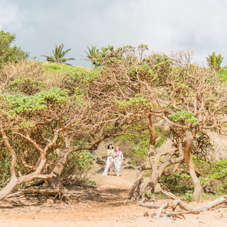 Kauai Island Weddings - Kauai's premier wedding planner. Beach & Bluffs 4