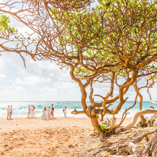 Kauai Island Weddings - Kauai's premier wedding planner. Beach & Bluffs 8