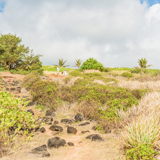 Kauai Island Weddings - Kauai's premier wedding planner. Beach & Bluffs 1