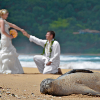 Kauai Island Weddings - Kauai's premier wedding planning service 19