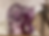 Thumbnail: Handcrafted Fluorite Bear 
