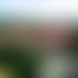 Plasy Monastery: Panoramic view of historic buildings and grounds