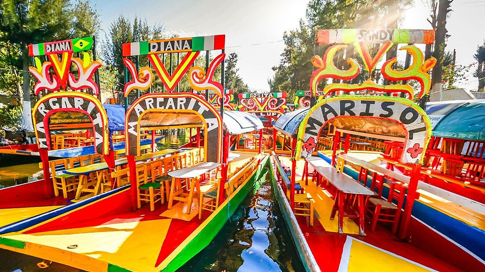 que-hacer-en-xochimilco-con-ninos.jpg