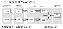SOI model of Mayer