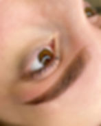 image00029.jpeg