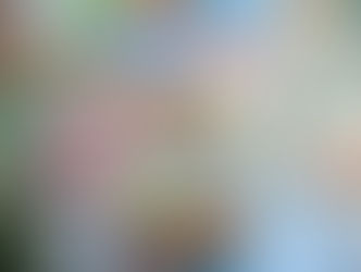 The Power of Money Mindset: Why Behaviour Trumps Brains