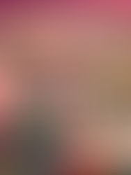 Meesho's Insight into the Reseller and Small Seller Economy: Democratising Internet Commerce for Bharat