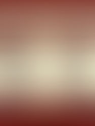 MANYAVAR'S POSITIONING AROUND INDIAN WEDDING CULTURE: BUILDING A CATEGORY THROUGH CULTURAL OWNERSHIP