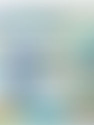 Relaxo Footwears: Brand Portfolio Strategy Across Price Segments